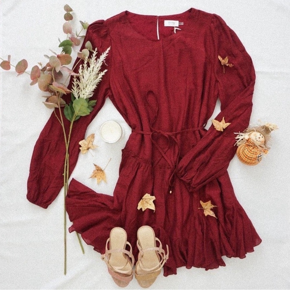 Blu ivy maroon swing dress with tie and ruffled bottom new with tag - Picture 2 of 7